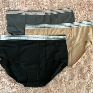 Lane Bryant Cacique Cotton Briefs